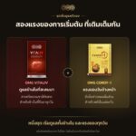 แบนเนอร์ ชุดเริ่มดูแลตัวเอง OMG (Vitaliv + Cordy-1) — ทำไมต้องคู่นี้ อัตราส่วน 1:1