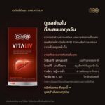 แบนเนอร์ ชุดเริ่มดูแลตัวเอง OMG (Vitaliv + Cordy-1) — บทบาท Vitaliv อัตราส่วน 1:1