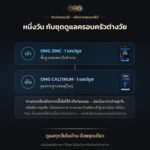OMG Family Care Set — Zinc + Caltinum product image