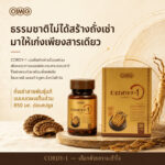 OMG Cordy-1 Cordyceps sinensis Formula (30 Capsules) product image
