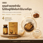 OMG Cordy-1 Cordyceps sinensis Formula (30 Capsules) product image