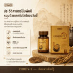 OMG Cordy-1 Cordyceps sinensis Formula (30 Capsules) product image