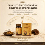 OMG Cordy-1 Cordyceps sinensis Formula (30 Capsules) product image